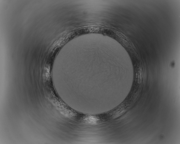 X0000115390610200912011230