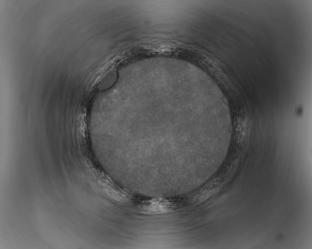 X0000115390612200912011230