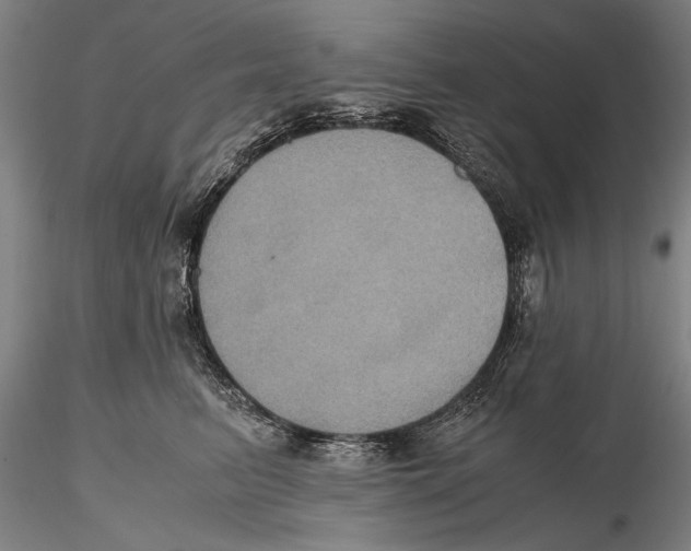 X0000115390615200912011230