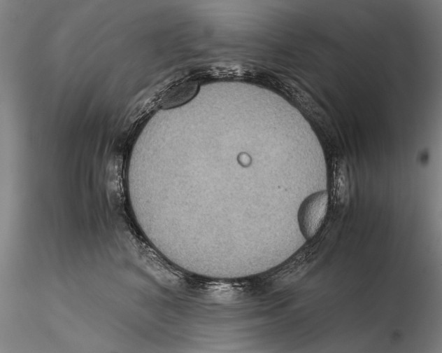 X0000115390616200912011230