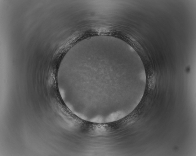 X0000115390618200912011230