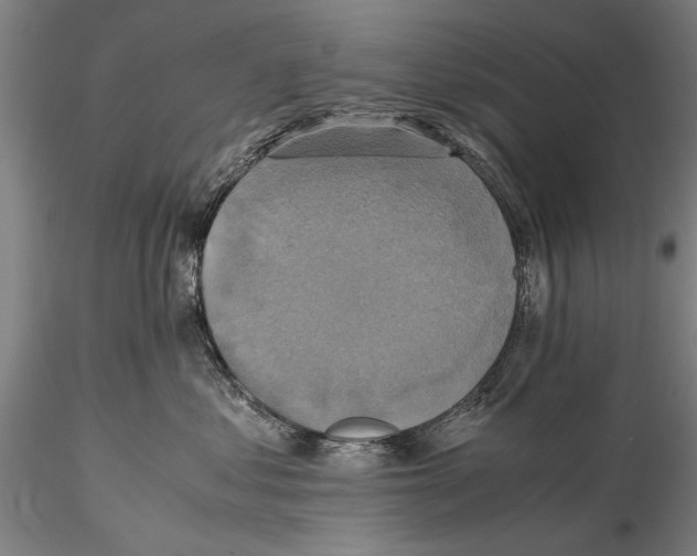 X0000115390621200912011230