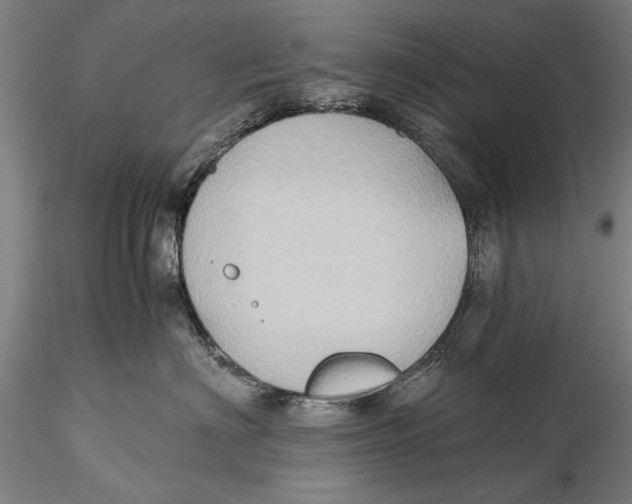 X0000115390622200912011230