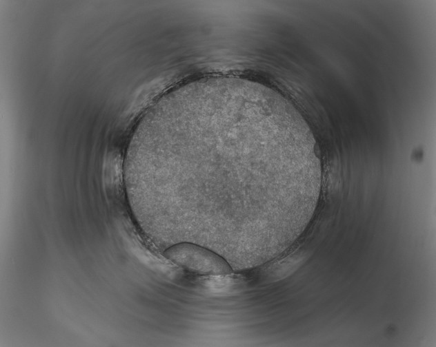 X0000115390623200912011230