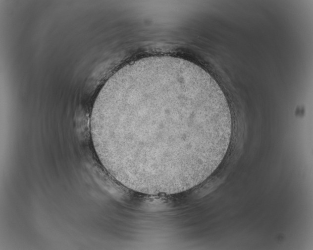 X0000115390624200912011230