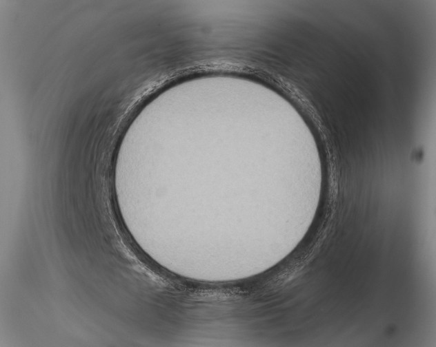 X0000115390625200912011229