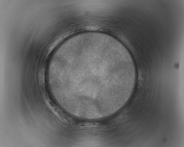 X0000115390626200912011229