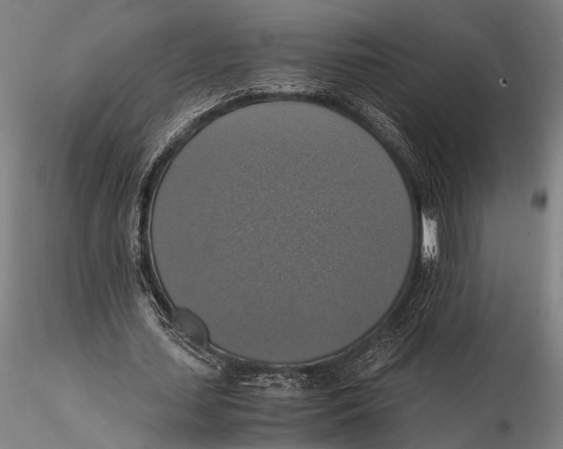 X0000115390627200912011229