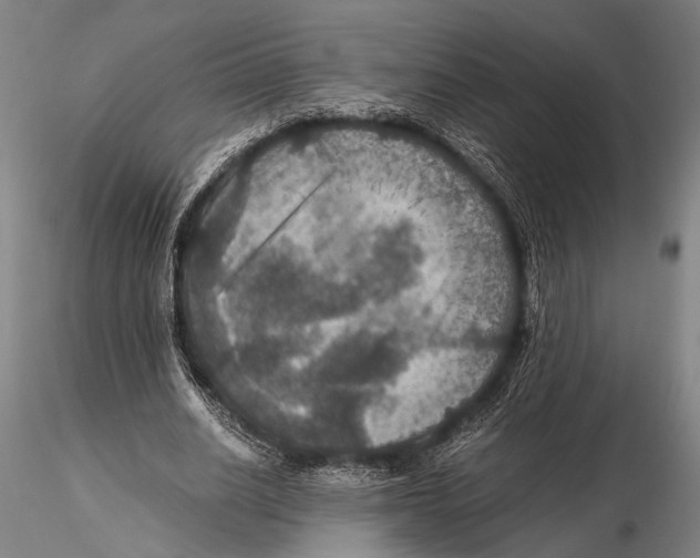 X0000115390630200912011229