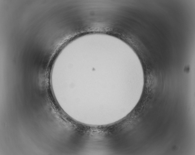 X0000115390632200912011229