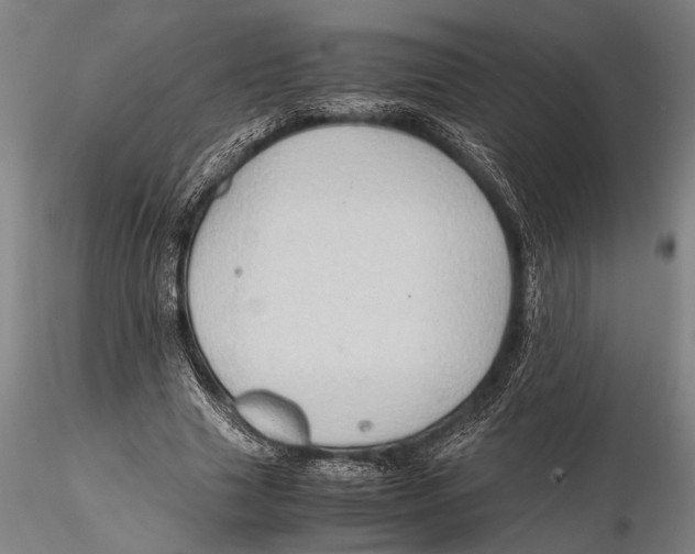 X0000115390633200912011229