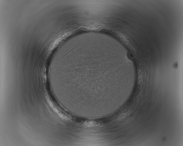 X0000115390634200912011229