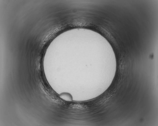 X0000115390635200912011229