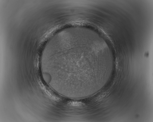 X0000115390637200912011229