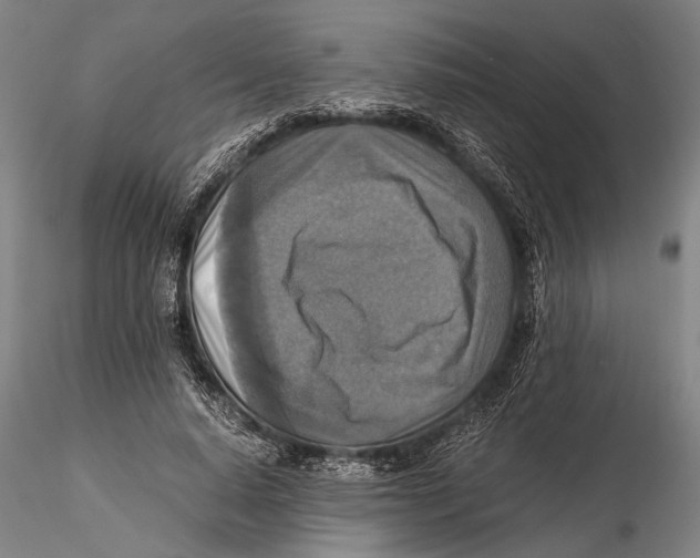 X0000115390640200912011229