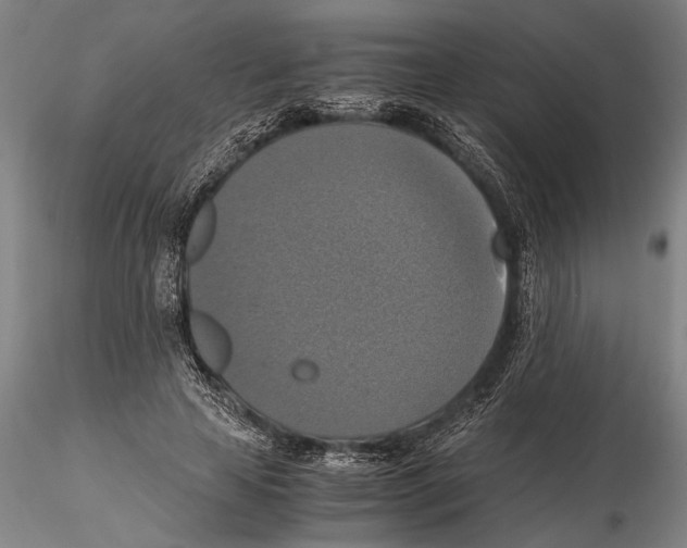 X0000115390641200912011229