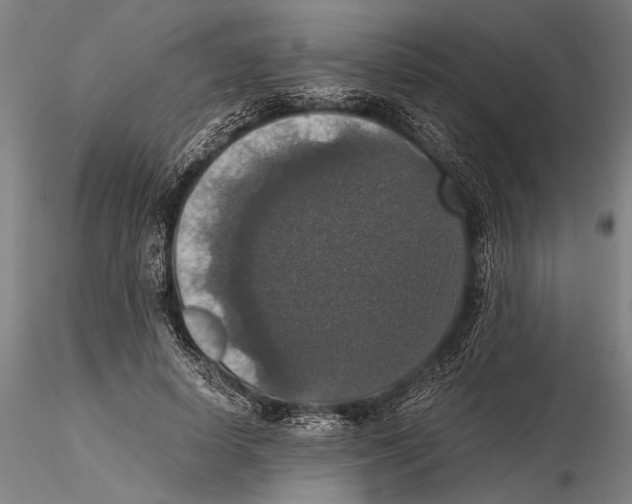 X0000115390642200912011229