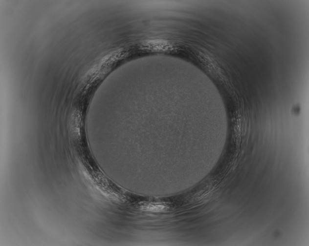 X0000115390643200912011229