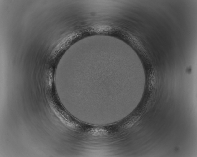 X0000115390644200912011229