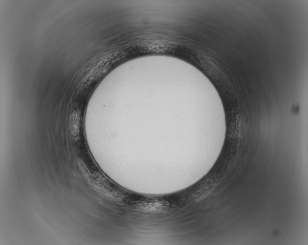 X0000115390646200912011229