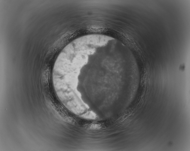 X0000115390647200912011229