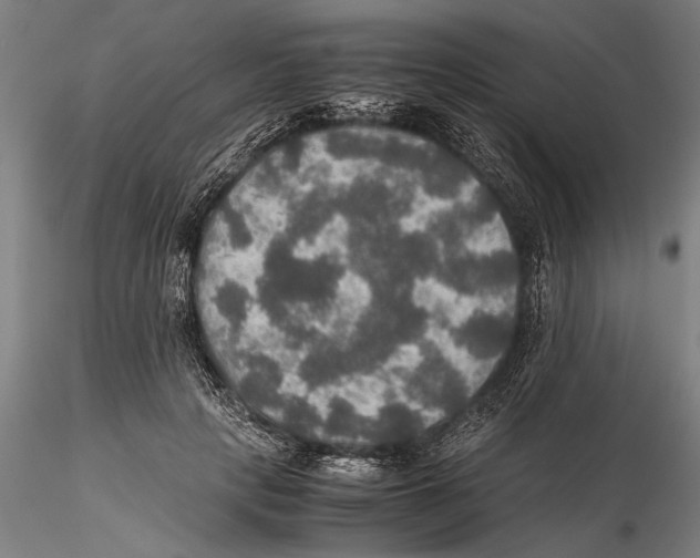 X0000115390649200912011229