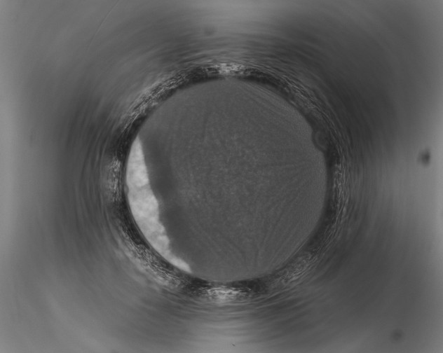 X0000115390650200912011229