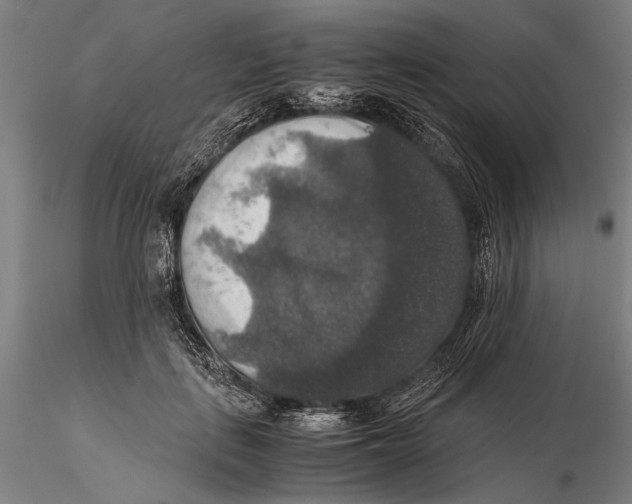 X0000115390651200912011229