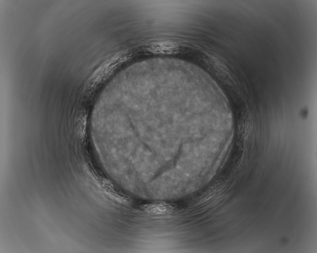 X0000115390652200912011230