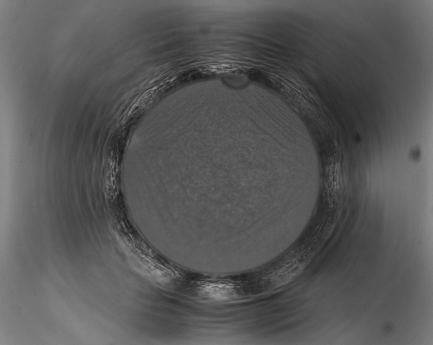 X0000115390653200912011230