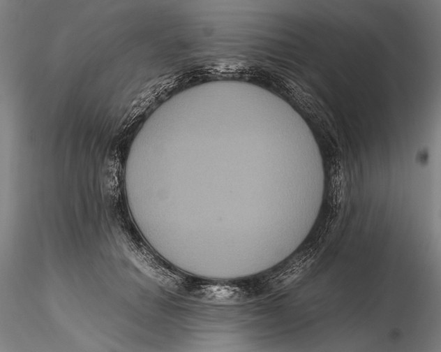 X0000115390654200912011230