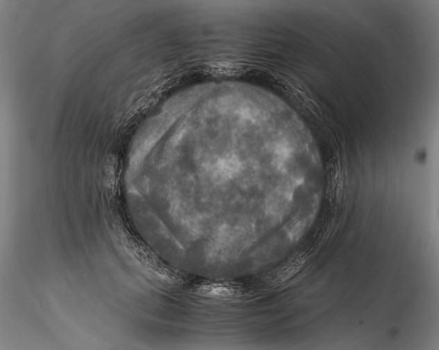 X0000115390655200912011230