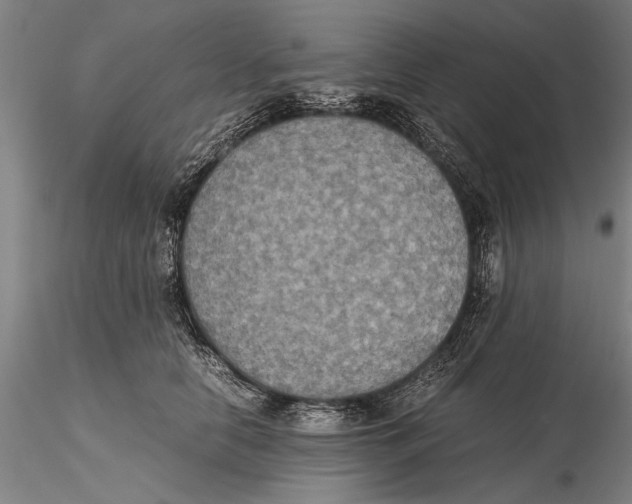 X0000115390658200912011230