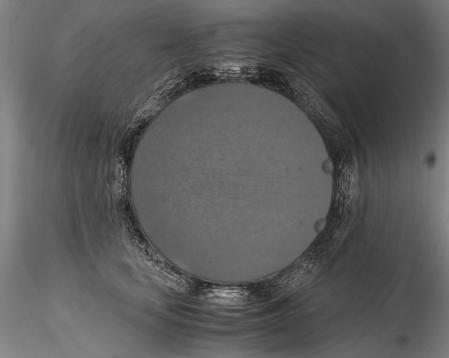 X0000115390659200912011230