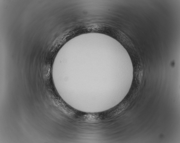 X0000115390660200912011230