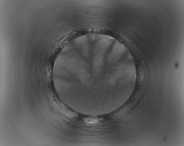 X0000115390661200912011230