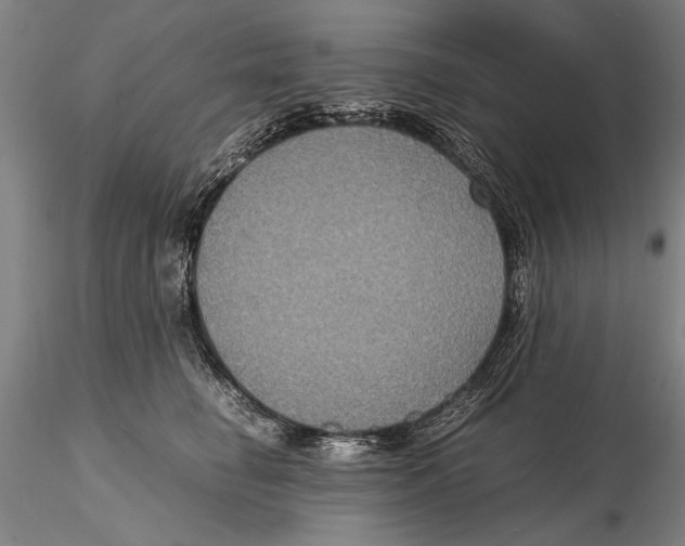 X0000115390662200912011230