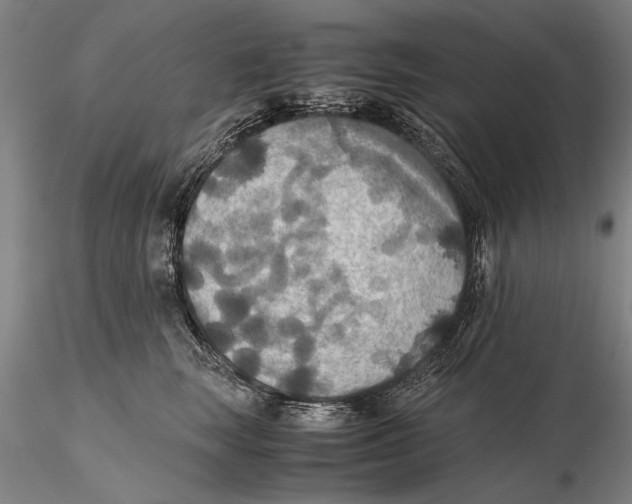 X0000115390663200912011230