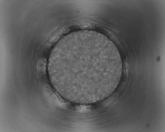 X0000115390664200912011230