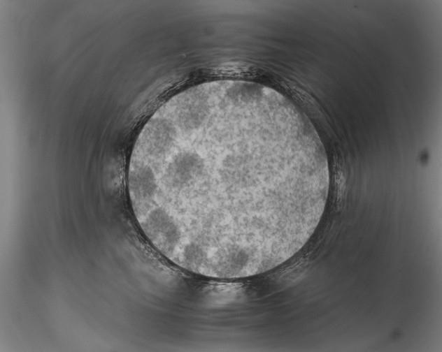 X0000115390665200912011230