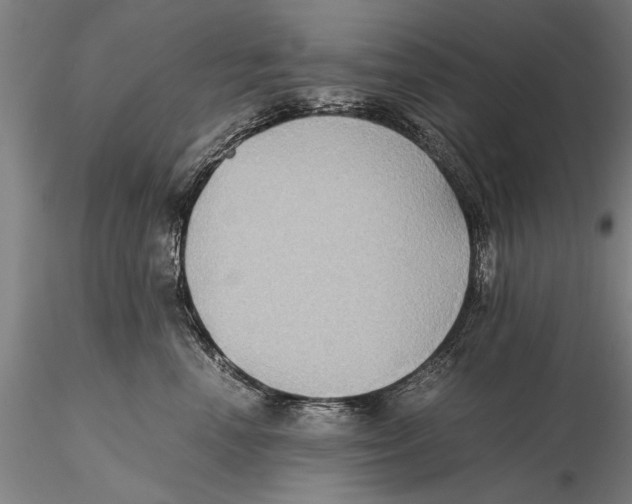 X0000115390666200912011230