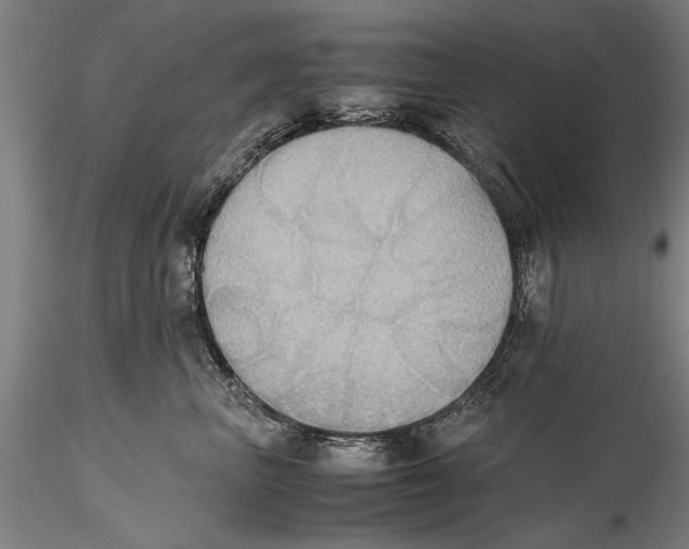 X0000115390667200912011230