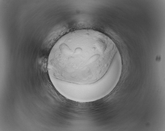 X0000115390672200912011230