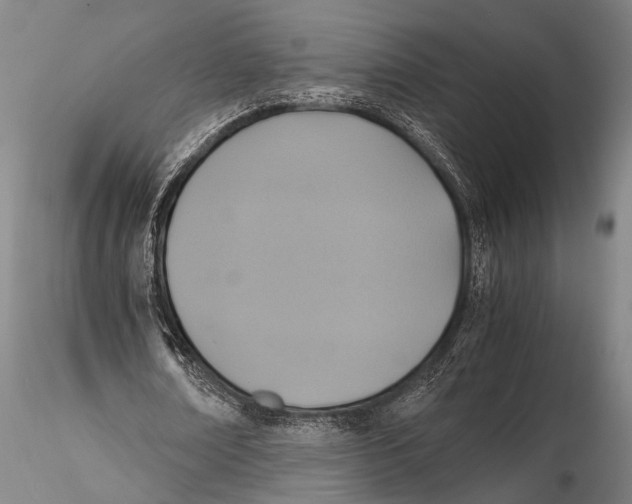 X0000115390674200912011229