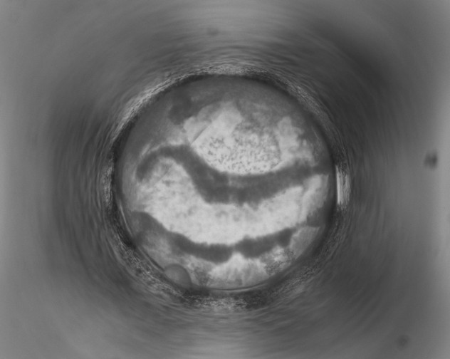 X0000115390675200912011229