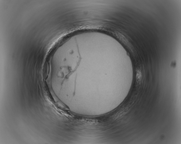 X0000115390676200912011229