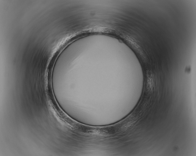 X0000115390678200912011229