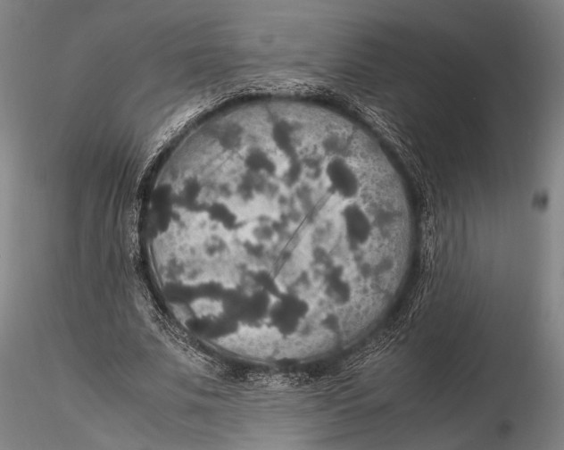 X0000115390679200912011229