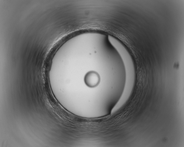 X0000115390680200912011229