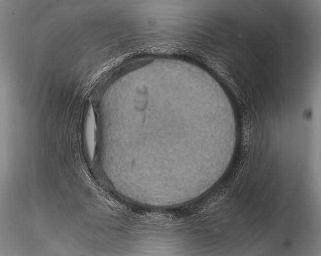 X0000115390681200912011229